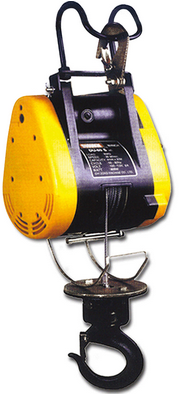 商場(chǎng)專用電動(dòng)葫蘆展示圖